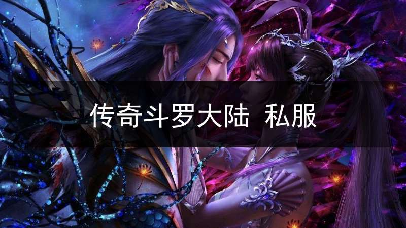 传奇斗罗大陆 私服(传奇版本斗罗大陆)
