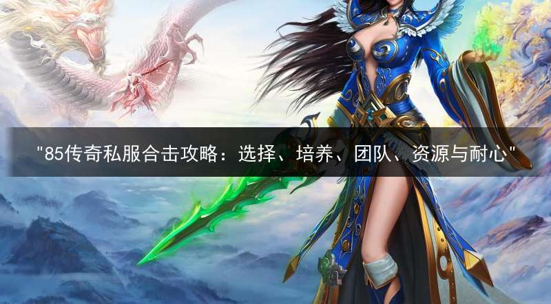 "85传奇私服合击攻略：选择、培养、团队、资源与耐心"